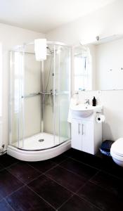 韦斯特曼纳埃亚尔Westman Islands Inn的带淋浴、盥洗盆和卫生间的浴室