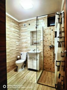MoigradVatra Strabunilor的浴室配有卫生间、盥洗盆和淋浴。
