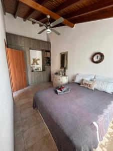 VrísaiNikolis Vacation House的一间卧室配有一张床和吊扇