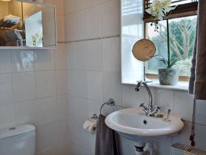 West HoathleyHoney Meadow Cottage的一间带水槽和卫生间的浴室以及窗户。