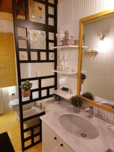 富切基奥La Casa di Agata Deluxe的一间带水槽、镜子和卫生间的浴室