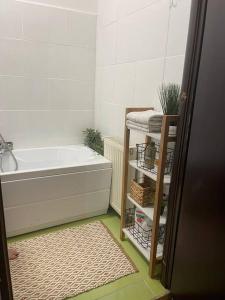 蒂米什瓦拉Apartament la casa的带浴缸和毛巾架的浴室