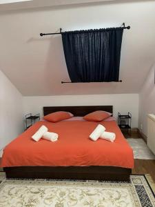 蒂米什瓦拉Apartament la casa的一间卧室配有红色的床和两个枕头