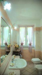 卡莫利VILLINO BRUNETTO azienda agrituristica的一间带水槽、卫生间和镜子的浴室