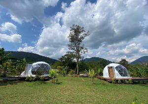 考索Cosy Garden Khao Sok的两个圆顶,位于一个有山背景的田野