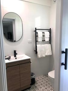 阿米代尔The Stables的一间带水槽、镜子和卫生间的浴室