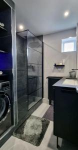 特鲁瓦Le Perchoir, High-end & Panoramic View的一间带玻璃淋浴和水槽的浴室