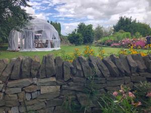 汉密尔顿Flowerhaven - glamping dome的一座带石墙的花园中的温室