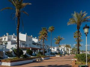 卡萨雷斯2156-Luxury apt in Cortesin golf with pool view的一条棕榈树成荫的街道