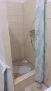 班斯卡-比斯特里察Kapitula centrum的浴室内配有淋浴帘。