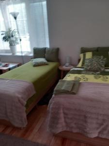 班斯卡-比斯特里察Kapitula centrum的一间卧室设有两张床和窗户。