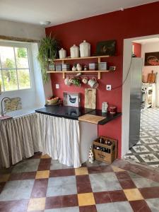 阿热莫La Chaise Haute的一个带柜台和红色墙壁的厨房