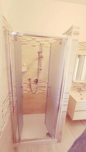 LupettoOne Love apartments的一个带水槽的玻璃淋浴间
