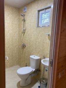 K'edaChalet Rivier • შალე რივიერ的一间带卫生间和水槽的浴室