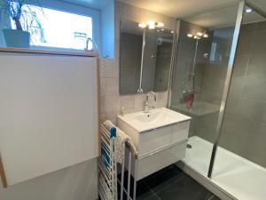 拉布雷斯Centre superbe appt 6 personnes avec terrasse classé 3 étoiles的一间带水槽和淋浴的浴室