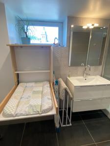 拉布雷斯Centre superbe appt 6 personnes avec terrasse classé 3 étoiles的一间带水槽和白色橱柜的小浴室