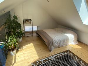 拉布雷斯Centre superbe appt 6 personnes avec terrasse classé 3 étoiles的阁楼卧室配有一张床和盆栽植物