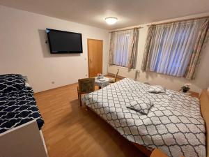 奥尔贝尔恩豪Hotel Bielatal的一间卧室配有一张床和一台平面电视