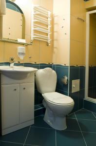 比得哥什Hotel Kresowianka的一间带卫生间和水槽的浴室