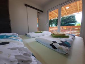 科巴里德Chalet and Apartment Žonir with SAUNA的两张床位于带窗户的房间内