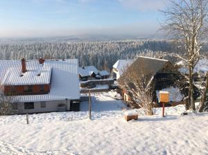 伦茨基希Ferienwohnung zur Alten Schmiede的一座有房子和树木的雪地覆盖的院子