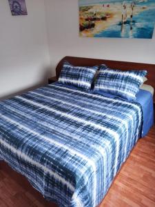 皮什丹吉Cabañas Mediterraneas的一张带蓝色被子的床铺和墙上的绘画