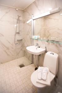 托尔尼奥奥洛夫酒店的浴室配有卫生间、盥洗盆和淋浴。