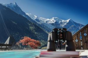 夏蒙尼-勃朗峰瑞士公园温泉酒店的坐在一本书顶上,坐在山前的相机