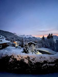 威拉尔-苏-罗伦Chalet Melchior的地面上积雪的房子的冬季景色