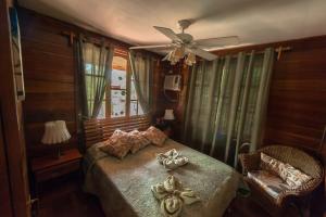 博卡斯德尔托罗Tierra Verde Bed & Breakfast的一间卧室配有一张床和吊扇