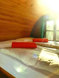 Groß SarauWakenitz-Camp的房间里的床上有两个红色枕头