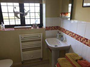 珀肖尔NIGHTINGALE B&B的一间带水槽和卫生间的小浴室