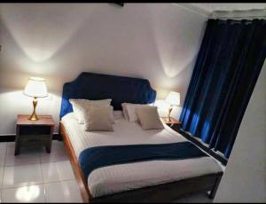 卡巴莱Villa Bunyonyi的一间卧室配有一张带蓝色窗帘的床和两盏灯。
