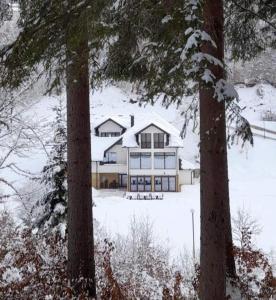 新瓦罗什Zlatarska dolina的两棵树之间的雪地房子