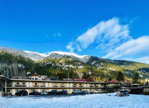 尼尔逊别墅汽车旅馆的山前的雪地里停有汽车的酒店