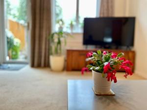 布里斯托Double Room in Cosy Quiet Home - House Shared with One Professional的坐在客厅桌子上的盆栽植物