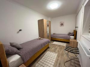 苏博蒂察ALFA Apartmani的一间小卧室,配有两张床和镜子