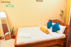 奈瓦沙Naivasha Southlake apartments的一间卧室配有蓝色和黄色枕头的床