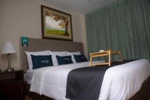 齐克拉约Hotel America Chiclayo的一间卧室配有一张带蓝白色枕头的大床