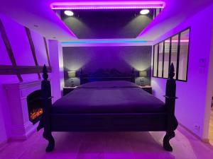 鲁昂Le Jacuzzi的紫色卧室配有一张床和一个壁炉