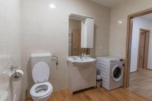 阿伊多夫什契纳Apartma Valič的浴室配有卫生间、盥洗盆和洗衣机。