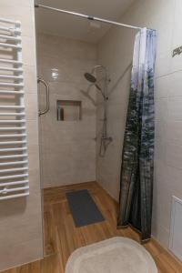 阿伊多夫什契纳Apartma Valič的浴室内配有淋浴帘。