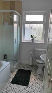 多尼戈尔Bumblebee Cottage的一间带卫生间、水槽和窗户的浴室