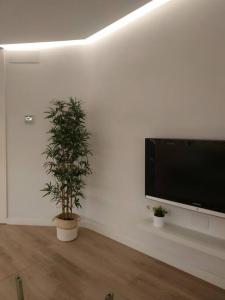 埃尔切Lujoso y acogedor apartamento "súper céntrico" en ELche的一间带电视和2种盆栽植物的客厅