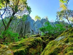 KaltennordheimFerienwohnung NatureOne的一片种有树木和岩石的岩石区