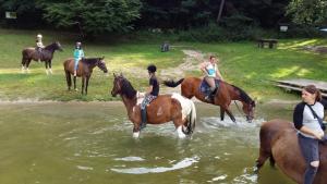 武克塔Domek holenderski w Stadnine Koni Mazury的一群在水中骑马的人