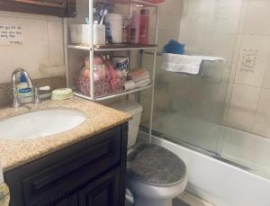 CoronaDouble-Mirrored Glass Room in Queens的一间带水槽、卫生间和淋浴的浴室