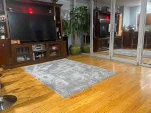 CoronaDouble-Mirrored Glass Room in Queens的一间客厅,配有地毯和一台平面电视