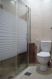 拉马拉ستوديوهات دانيال Daniel Studio的一间带卫生间和玻璃淋浴间的浴室