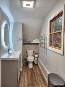 皮博迪Le Elona, a private island getaway experience的一间带卫生间、水槽和窗户的浴室